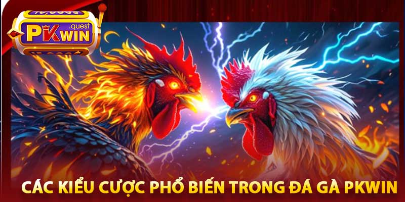Đá gà pkwin