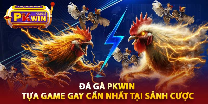 Đá Gà PKWin